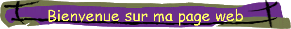 Bienvenue sur ma page web